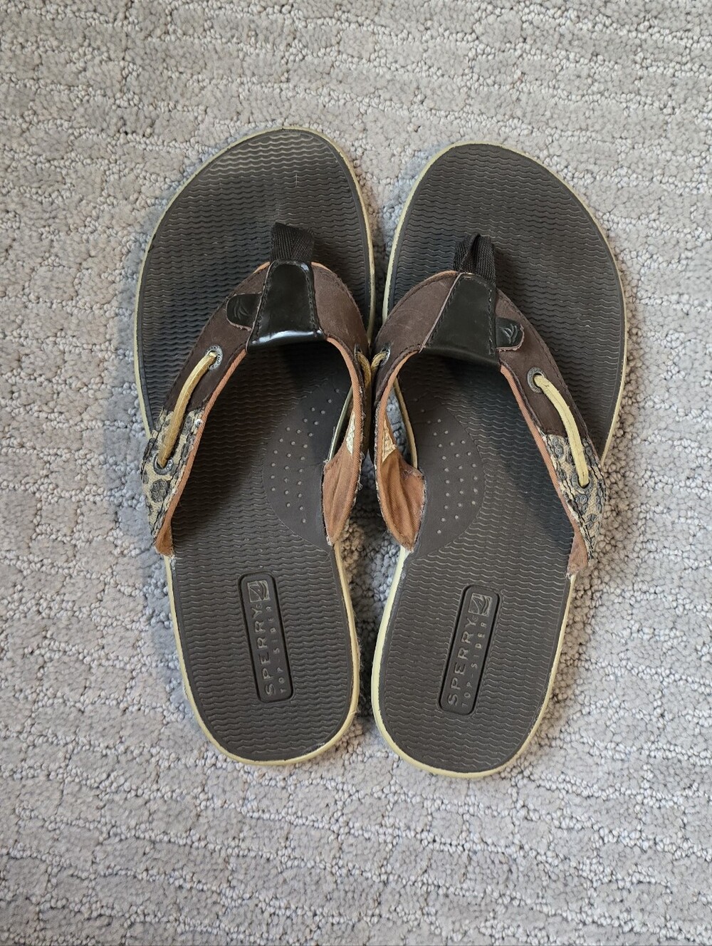 Sperry Women's Thong Sandal